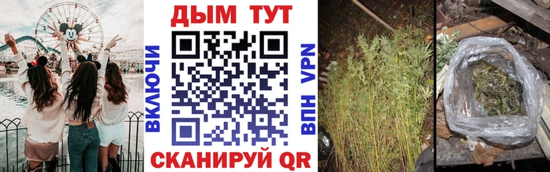 Названия наркотиков Кондрово Кокаин Alpha-PVP Меф ГАШ Каннабис