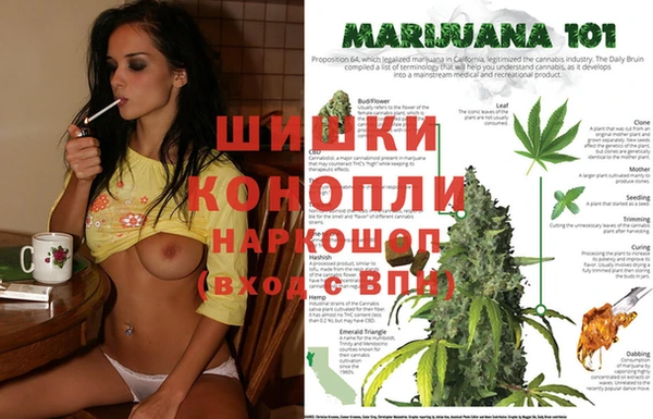 гидропоника Балабаново