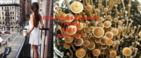 мяу мяу кристалл Аркадак
