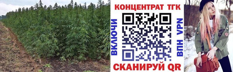 купить наркотик  Кондрово  Дистиллят ТГК жижа 